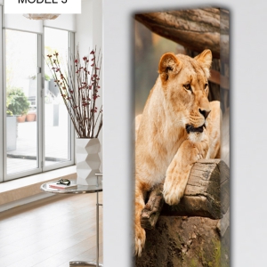 ANIMALS MODEL