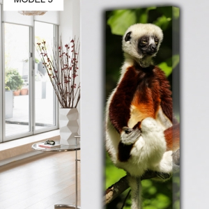ANIMALS MODEL