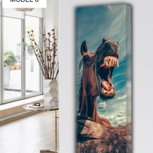 ANIMALS MODEL