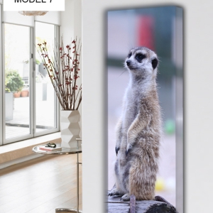 ANIMALS MODEL