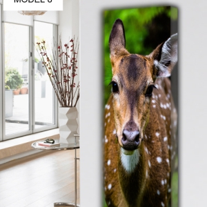 ANIMALS MODEL