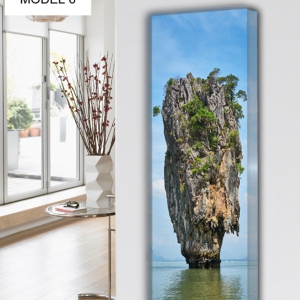 NATURE MODEL