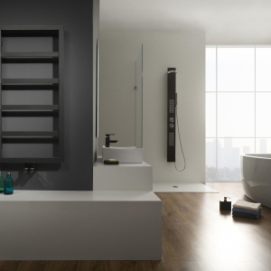 Paris Design Heizkörper Bad, Badezimmer Schönste Design Heizkörper für Bad, Wohnzimmer und Küche.