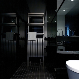 Edelstahl badezimmer design heizkörper Hercules